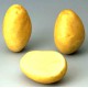 Pomme de terre Monalisa